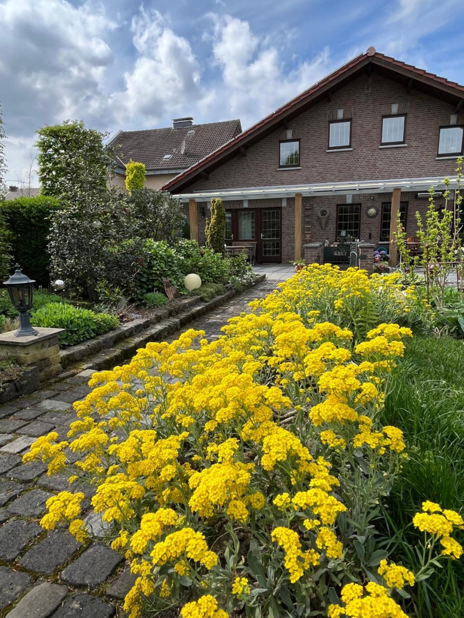 Ferienwohnung Jansen Selfkant エクステリア 写真