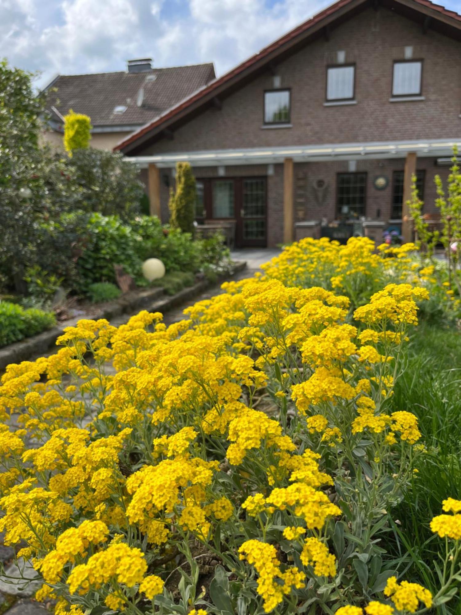 Ferienwohnung Jansen Selfkant エクステリア 写真